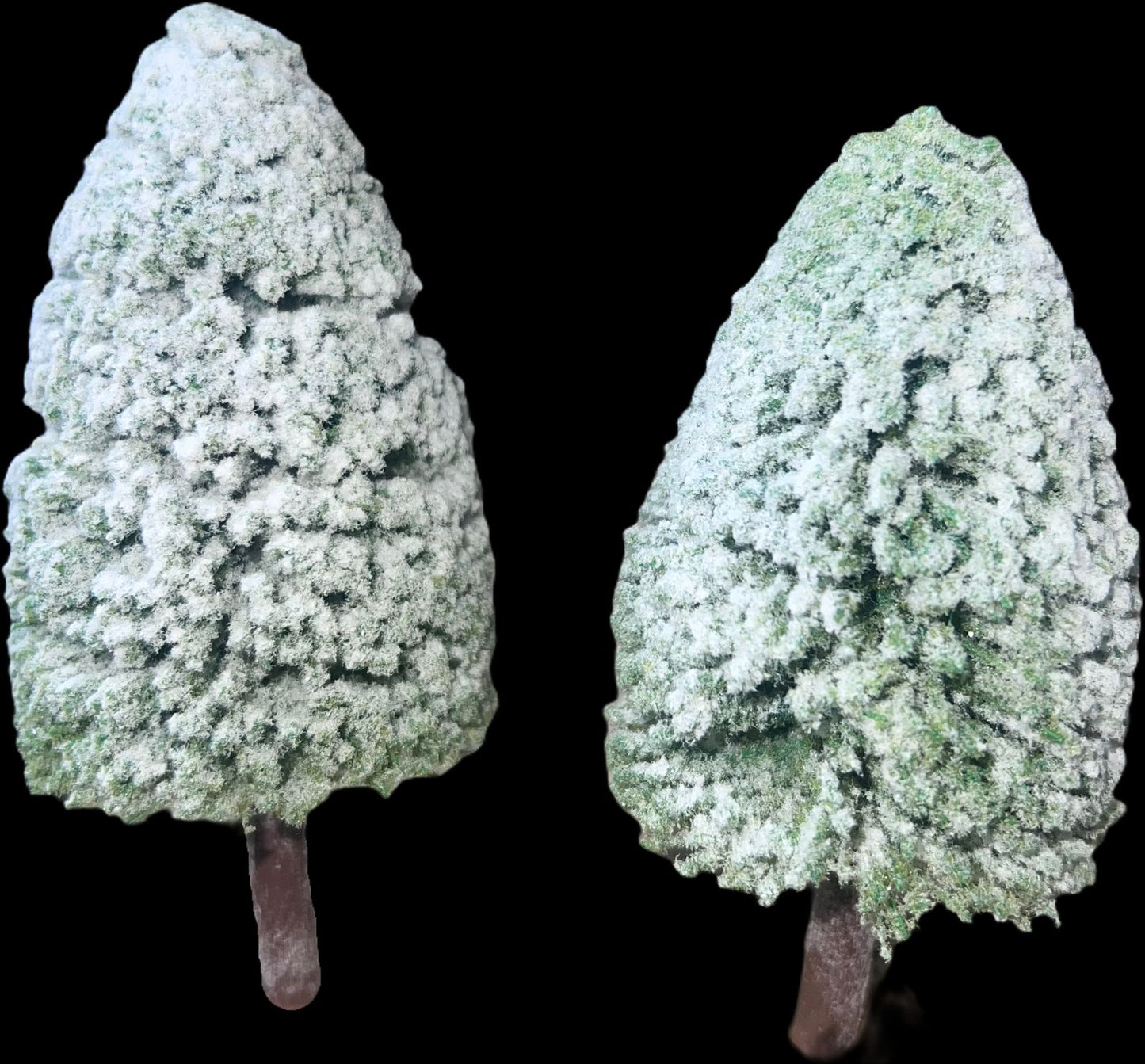 PINOS NEVADOS