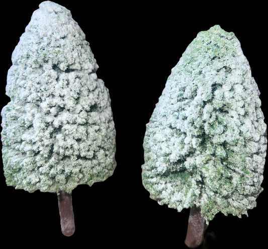 PINOS NEVADOS