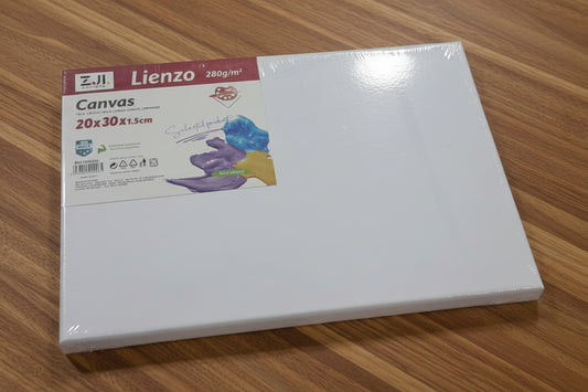Lienzo Canvas 20cmX30cm (Caja con 24piezas)