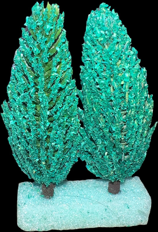 PINOS