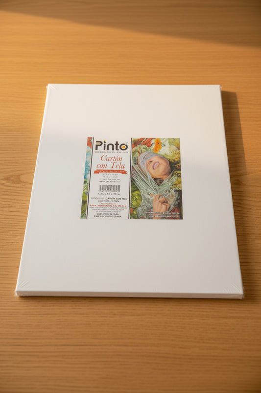 Carton con Tela Pinto 35cmX45cm (Pack con 12pz.)